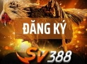 Hướng dẫn 3 bước đăng ký tài khoản sv388 thành công 100%