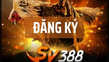 Hướng dẫn 3 bước đăng ký tài khoản sv388 thành công 100%